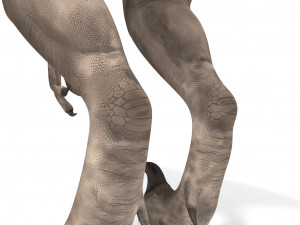 velociraptor 3Dモデル