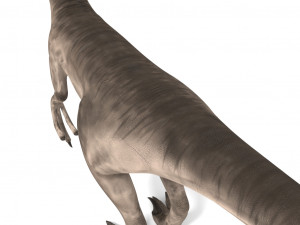 velociraptor 3Dモデル