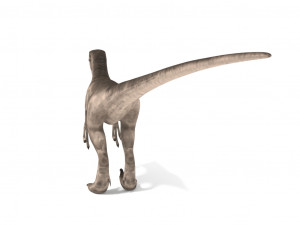 velociraptor 3Dモデル