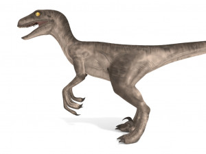velociraptor 3Dモデル