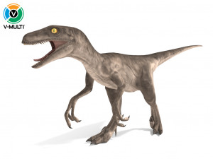 Velociraptor Rigged 3D Model