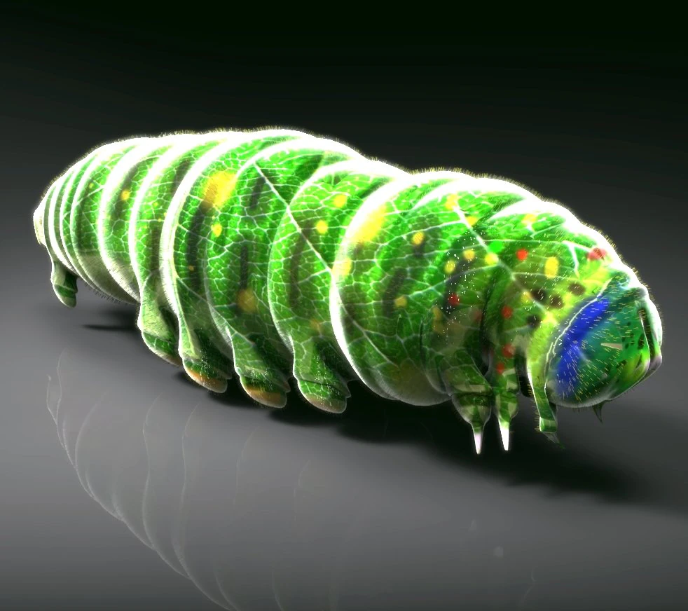Larva 3D Model .c4d .max .obj .3ds .fbx .stl .blend 