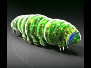 Larva Model 3D