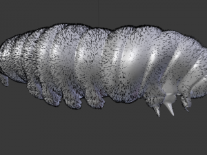 Larva Model 3D