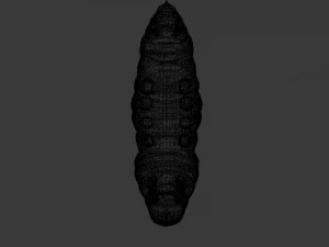 Larva 3D Model