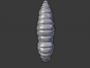 Larva Model 3D