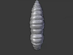 Larva 3D Model