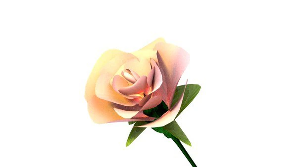 Pink rose flower 3D Model .c4d .max .obj .3ds .fbx .stl .blend