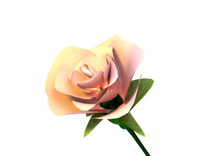 Pink rose flower Modelo 3D