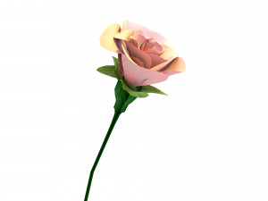 Pink rose flower Modelo 3D