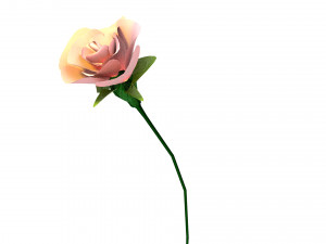 Pink rose flower Modelo 3D