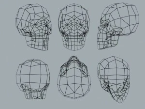 czaszka Model 3D