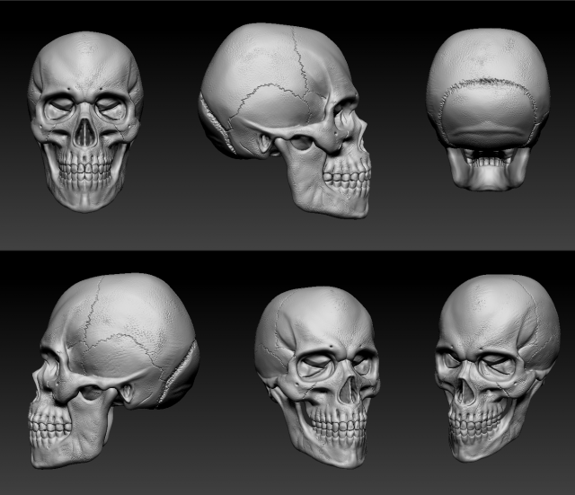 skull Model 3D .c4d .max .obj .3ds .fbx .stl .blend 