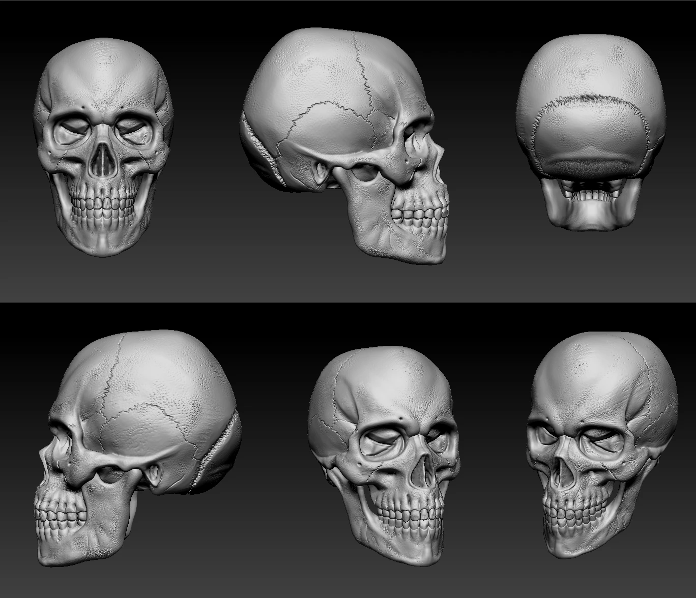 cranio Modello 3D .c4d .max .obj .3ds .fbx .stl .blend