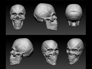 skull Modello 3D