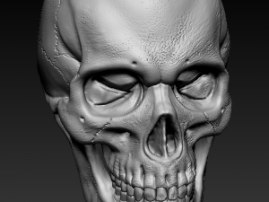 skull Model 3D