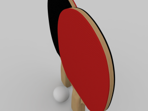 ping pong paddle 3D Model
