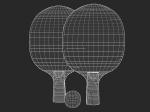 ping pong paddle 3D Model