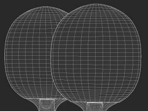 ping pong paddle 3D Model