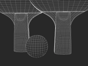 ping pong paddle 3D Model