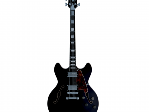 dangelico premier dc guitar 3D Model