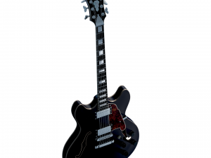 dangelico premier dc guitar 3D Model