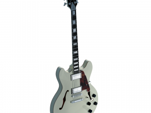 dangelico premier dc guitar 3D Model