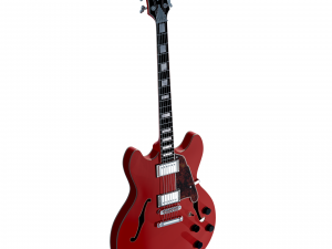dangelico premier dc guitar 3D Model
