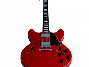 dangelico premier dc guitar 3D Model