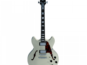 dangelico premier dc guitar 3D Model