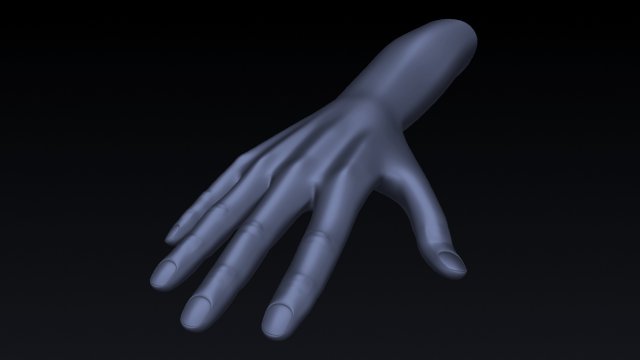 realistic hand rigged 3D Model .c4d .max .obj .3ds .fbx .stl .blend 
