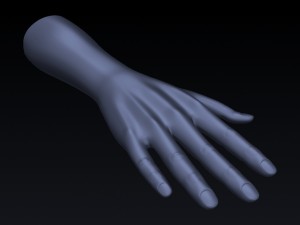realistic hand rigged 3D Model