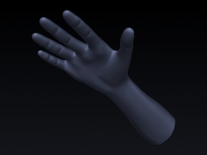 realistic hand rigged 3D Model