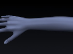 realistic hand rigged 3D Model