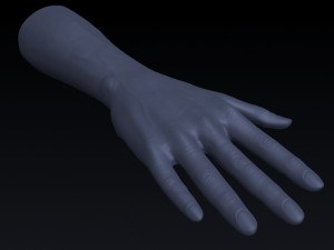 realistic hand rigged 3D Model