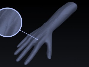 realistic hand rigged 3D Model