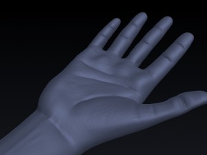 realistic hand rigged 3D Model