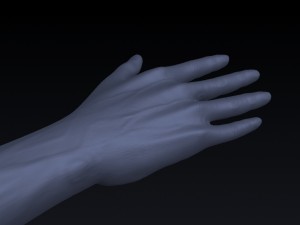 realistic hand rigged 3D Model