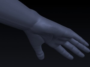 realistic hand rigged 3D Model