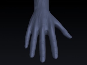 realistic hand rigged 3D Model