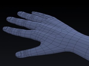 realistic hand rigged 3D Model