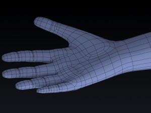 realistic hand rigged 3D Model