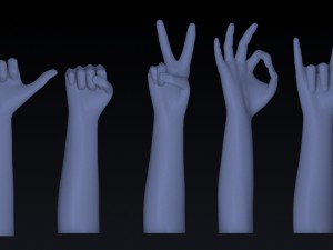 realistic hand rigged 3D Model