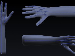realistic hand rigged 3D Model