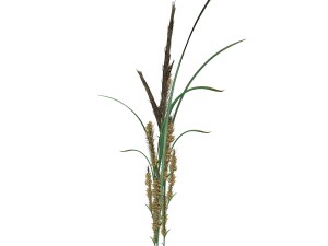 rye spike Modello 3D