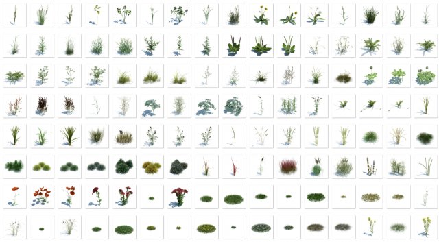 nature collection 3D 模型 .c4d .max .obj .3ds .fbx .stl .blend