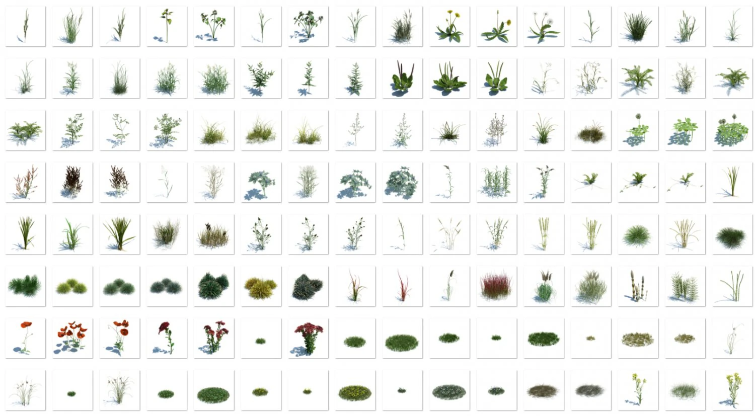 nature collection 3D Model .c4d .max .obj .3ds .fbx .stl .blend 