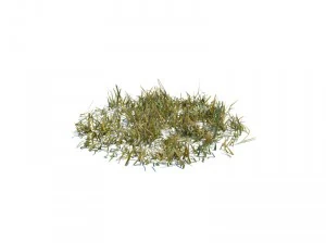 nature collection 3D Model
