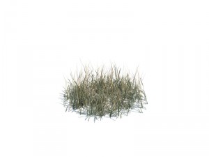 nature collection 3D 模型