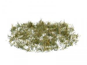 nature collection 3D Model